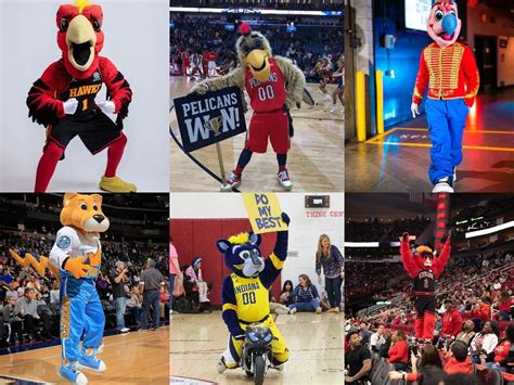 The Psychology Behind Official Team Mascot Names